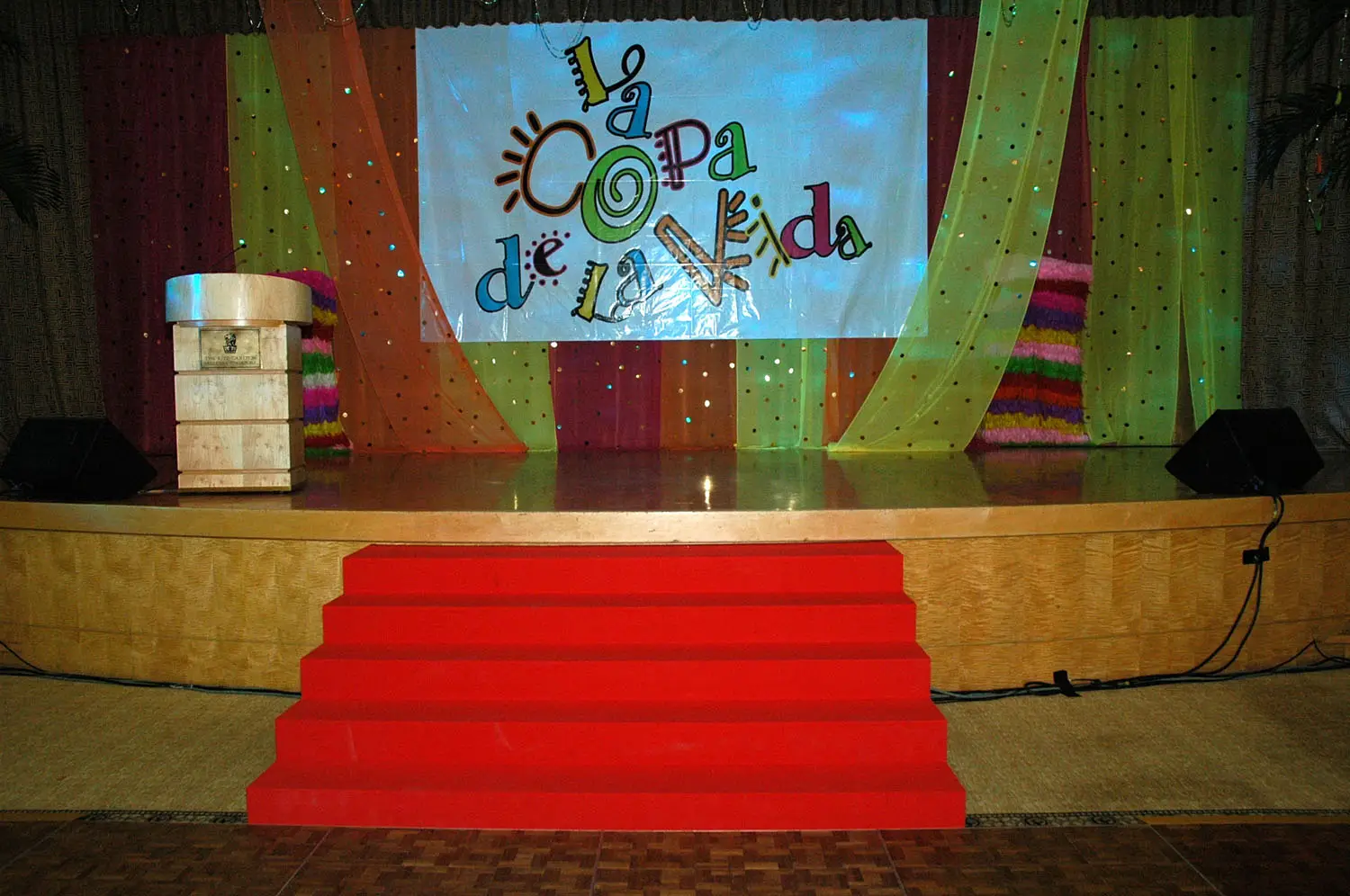 Copa De La Vida_1
